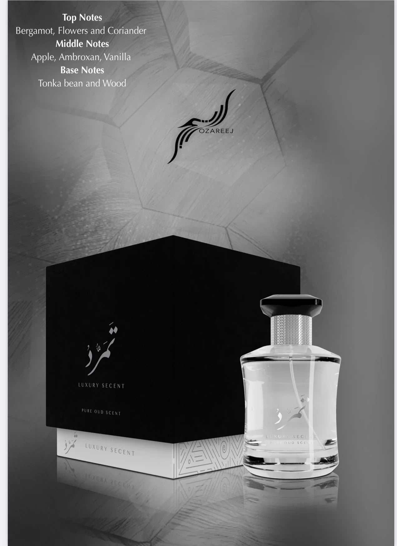 AMBITION SILVER AROMA DE LUJO PARA ÉL EDP - 100ML (3.40z) Por OZAREEJ