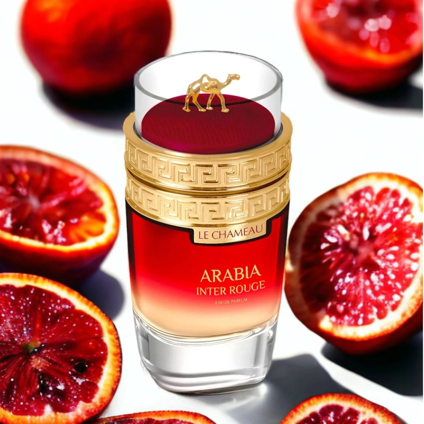 ARABIA INTER ROUGE EDP MUJER - 100ML (3.40z) Por Le Chameau